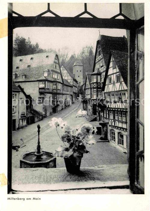 Miltenberg Main Blick durchs Fenster Altstadt Fachwerkhaeuser Brunnen