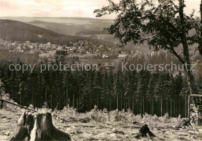 Baerenfels Erzgebirge Panorama Blick von der Tellkoppe