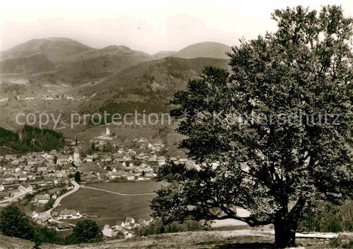 Schoenau Schwarzwald Panorama Luftkurort Alter Baum