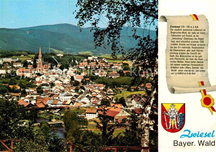 Zwiesel Niederbayern Stadtpanorama Geschichte Wappen