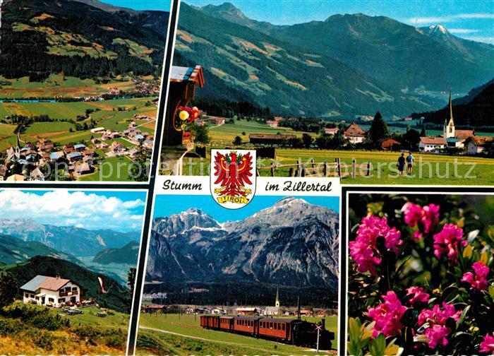 Stumm Zillertal Gesamtansicht mit Alpenpanorama Eisenbahn Alpenflora