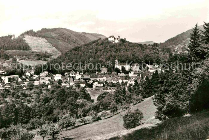 Leutenberg Thueringen Panorama mit Blick zum Schloss