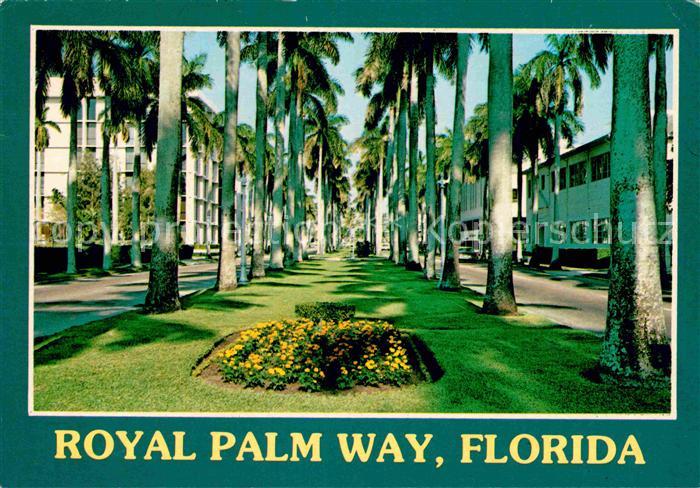 Palm Beach Royal Palm Way