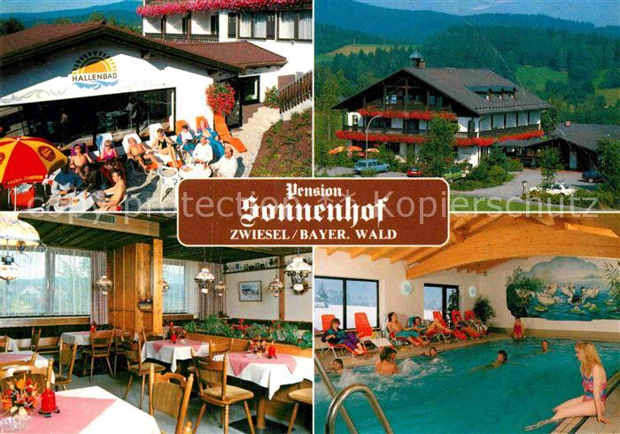 Zwiesel Niederbayern Pension Sonnenhof Terrasse Hallenbad
