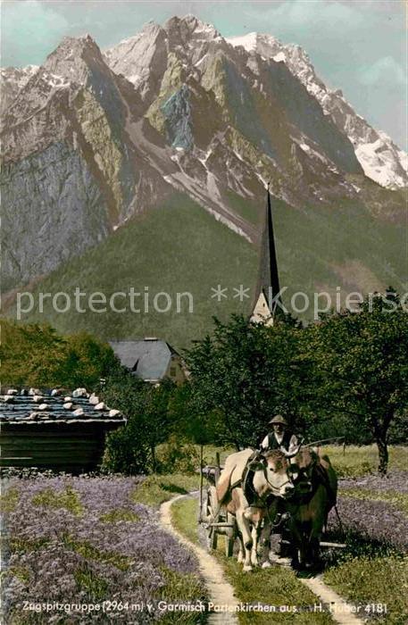 GARMISCH-PARTENKIRCHEN Bayern Ochsenkarren Blick zur Zugspitze Wettersteingebirg