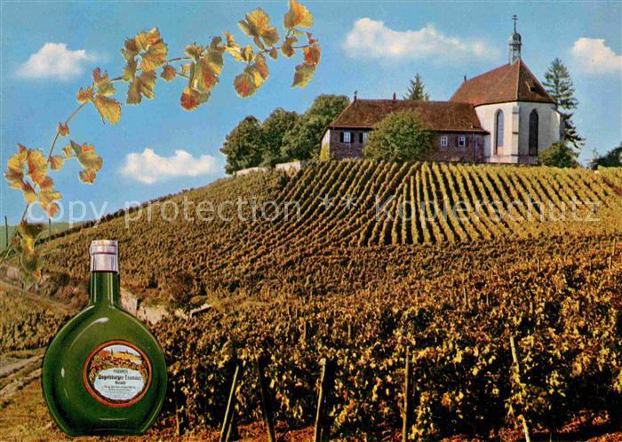 Vogelsburg Volkach Gemeinschaft der Augustinerschwestern eV Kloster Weingut Wein