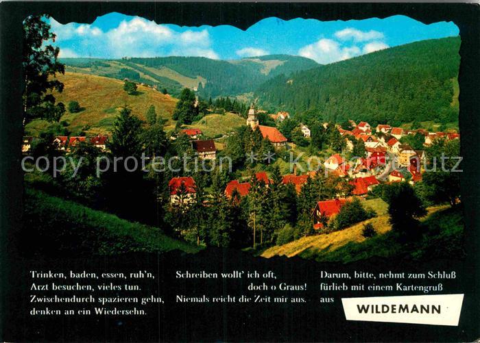 Wildemann Harz Goslar Niedersachsen Panorama Klein Tirol im Oberharz Bergstadt