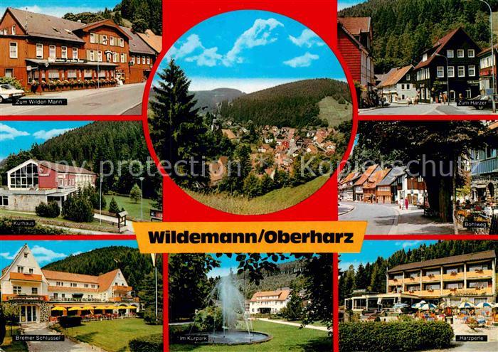 Wildemann Harz Goslar Niedersachsen Hotel Restaurant Kurhaus Kurpark Springbrunn