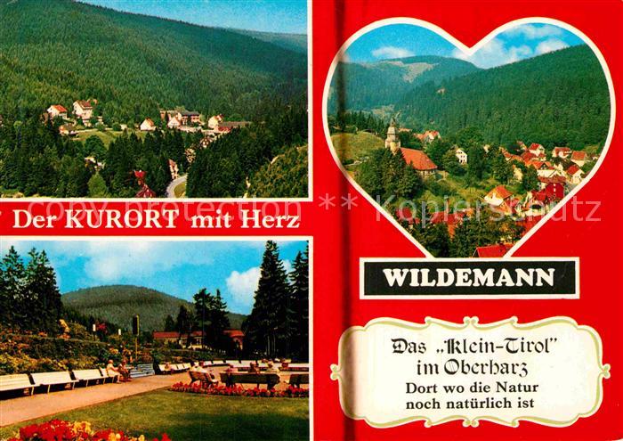 Wildemann Harz Goslar Niedersachsen Panorama Klein Tirol Kurpark