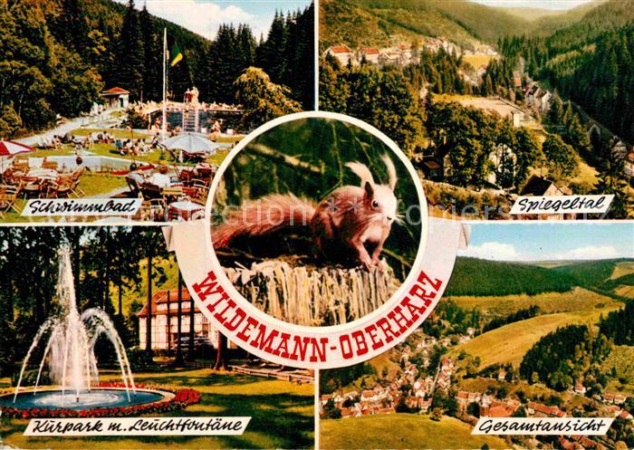 Wildemann Harz Goslar Niedersachsen Schwimmbad Panorama Spiegeltal Kurpark Leuch