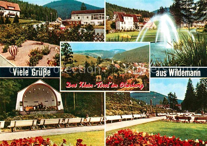 Wildemann Harz Goslar Niedersachsen Teilansichten Kurort Wasserspiele Kurpark Ko