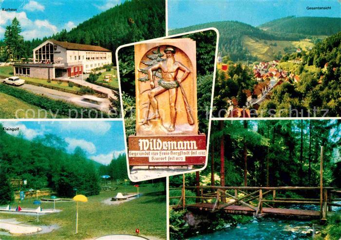 Wildemann Harz Goslar Niedersachsen Kurhaus Kleingolf Waldpartie Holzbruecke Lan