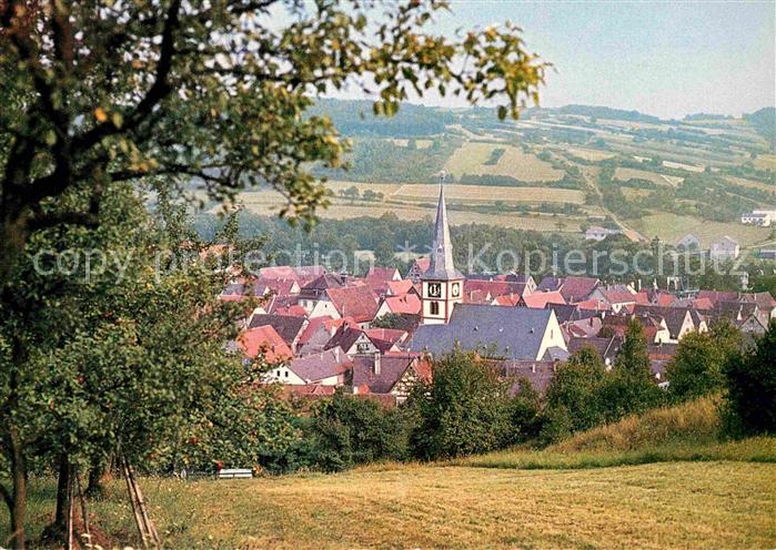 Roettingen Unterfranken Panorama Taubertal an der Romantischen Strasse