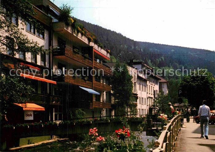 Bad Wildbad Partie am Fluss