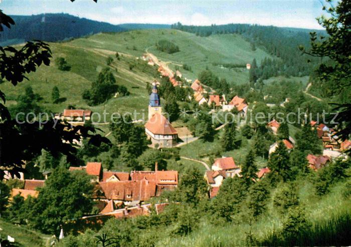 Wildemann Harz Goslar Niedersachsen Ansicht vom Waldrand aus