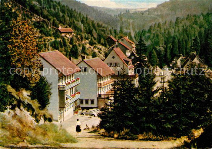 Wildemann Harz Goslar Niedersachsen Spiegeltal