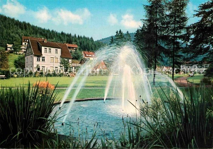 Wildemann Harz Goslar Niedersachsen Klein Tirol im Oberharz Springbrunnen