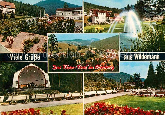 Wildemann Harz Goslar Niedersachsen Klein Tirol im Oberharz Kurpark Springbrunne