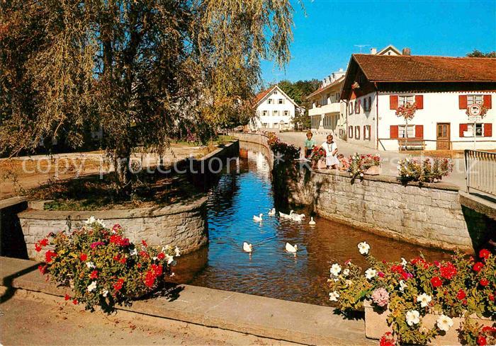 Bad Woerishofen Partie am Muehlbach Enten