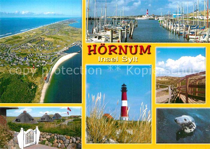 Hoernum Sylt Hafen Wohnhaeuser Leuchtturm Seehund Fliegeraufnahme