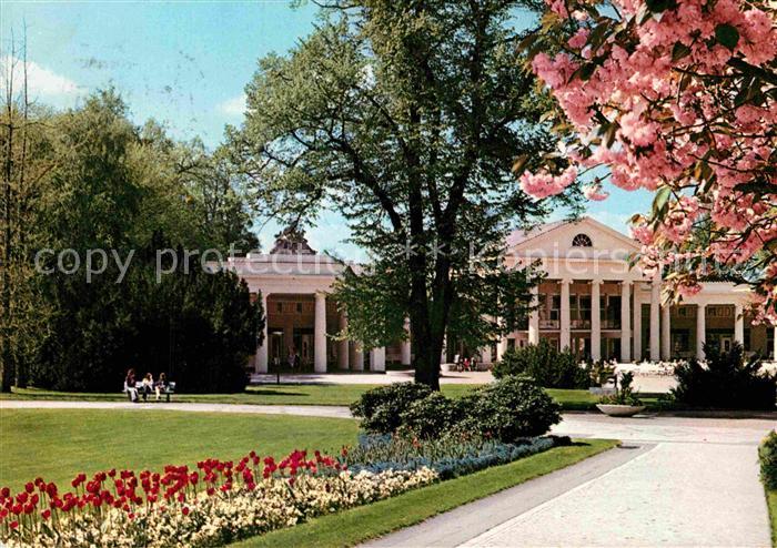 Bad Oeynhausen Wandelhalle Baumbluete