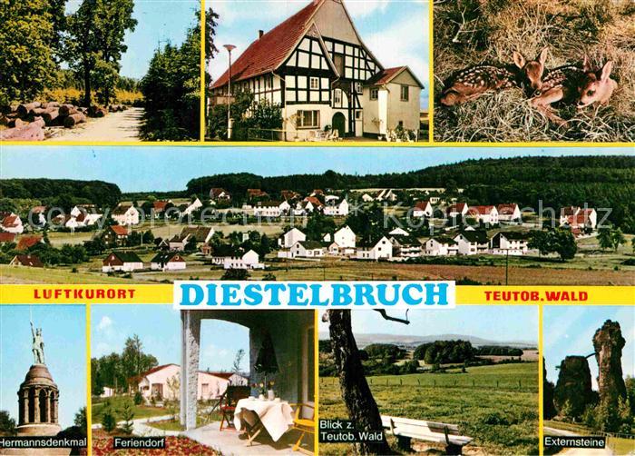 Diestelbruch Gesamtansicht Waldpartie Rehkitze Hermannsdenkmal Feriendorf Teutob