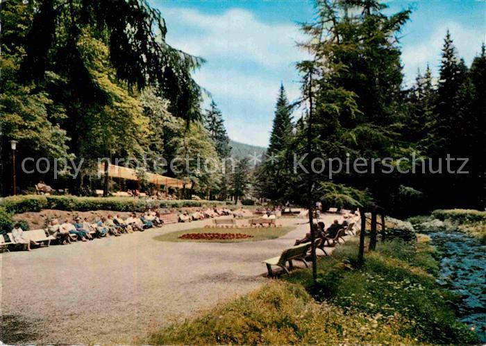 Wildemann Kurpark Luftkurort