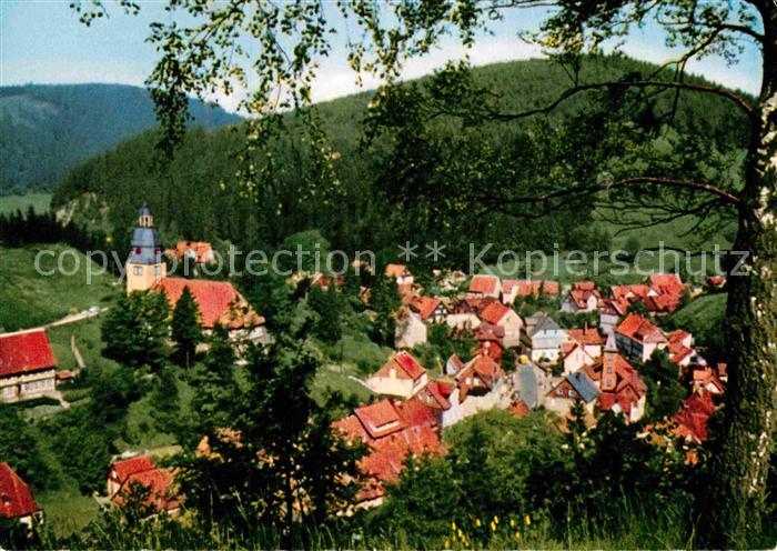 Wildemann Teilansicht Luftkurort