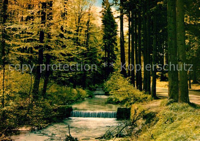 Berlebeck Berlebecker Quellen Wasserfall Waldpartie Luftkurort