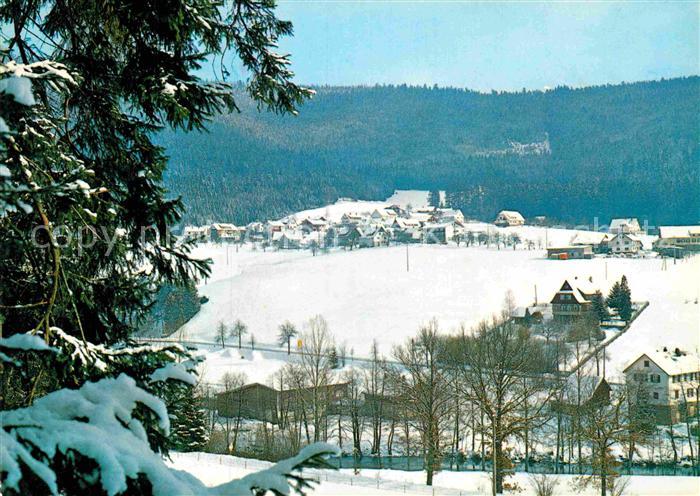 Baiersbronn Schwarzwald Schoenegruend Gasthof Pension zum Loewen