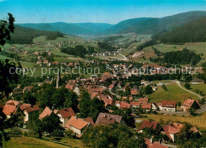 Baiersbronn Schwarzwald Panorama