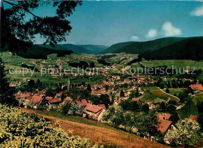 Baiersbronn Schwarzwald Panorama