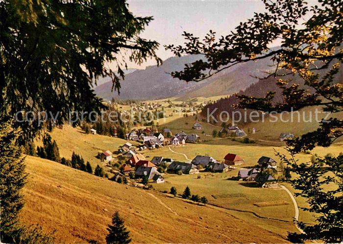 Menzenschwand Panorama