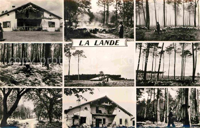 La Lande Les Landes Region La Ferme Les Hautes Fougeres Chemin dans la Foret