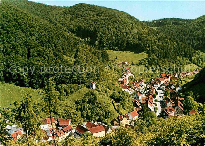 Zorge Blick vom Pferdchen