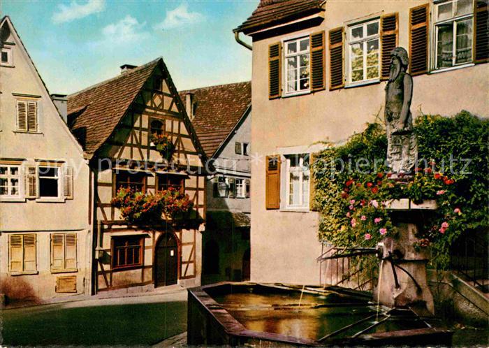 Marbach Neckar Schillers Geburtshaus Wilder Mann Brunnen