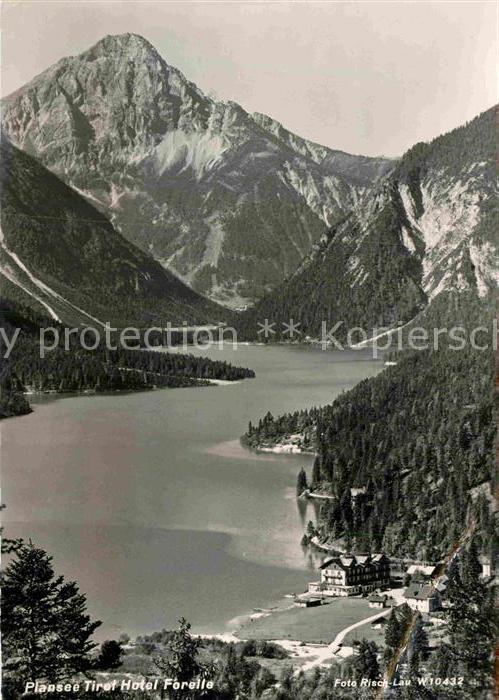 Plansee Panorama Hotel Forelle