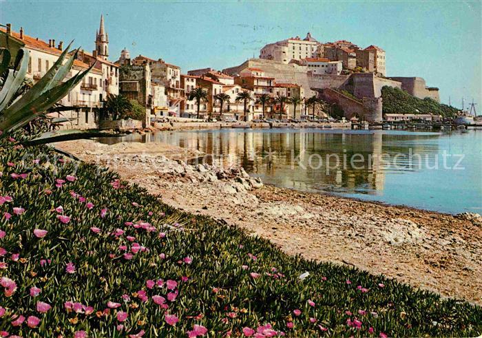 Calvi Plage Le Port et la Citadelle