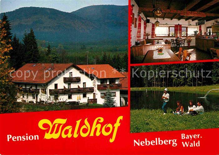 Nebelberg Langdorf Pension Waldhof Gaststube See