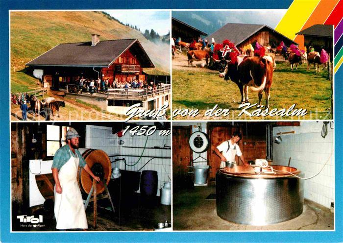 Wildschoenau Tirol Kaesealm Brixental Almabtrieb Butterkuebel