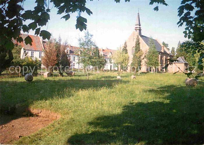 Dendermonde Schapenweide met Begijnhofkerk