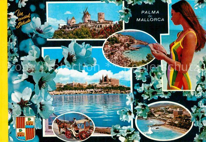Palma de Mallorca Windmuehlen Cathedrale Strand Pferdekutsche
