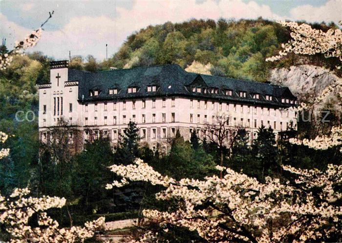 Vallendar Exerzitienhaus Schoenstatt Baumbluete