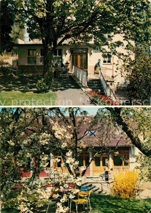 Marburg Lahn Freizeitheim Sonneck Baumbluete