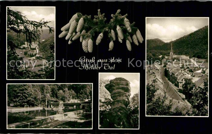 Ilfeld Suedharz Teilansicht Fels