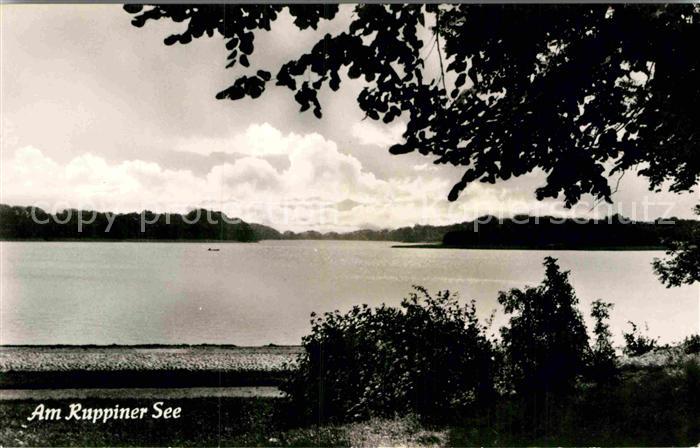 Neuruppin Seepanorama