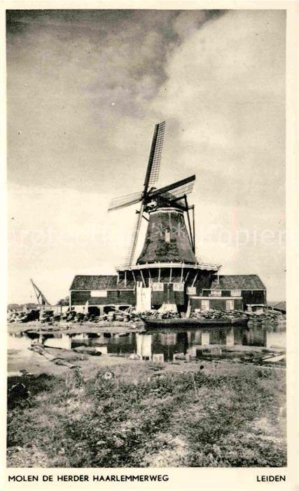 Leiden Windmuehle