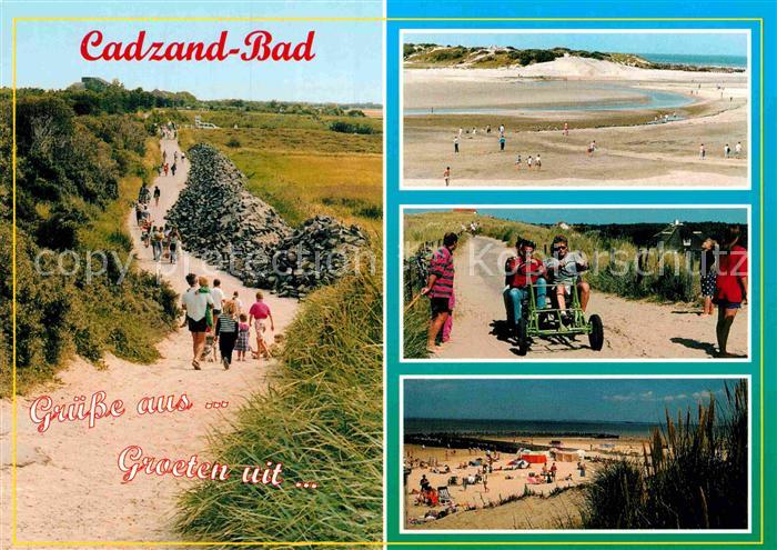 Cadzand Bad Strand Duenen
