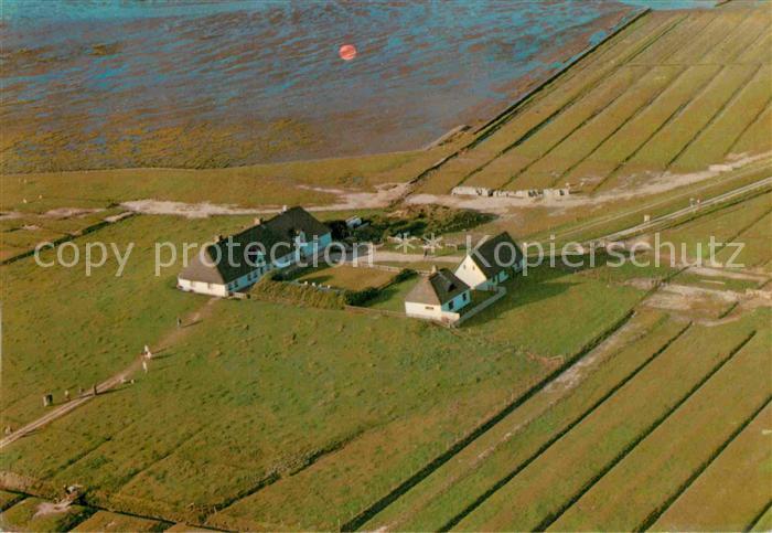 Hamburger Hallig Fliegeraufnahme