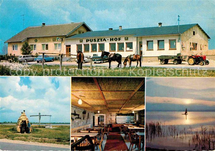 Illmitz Puszta Hof mit Kellerstueberl und Seewinkel